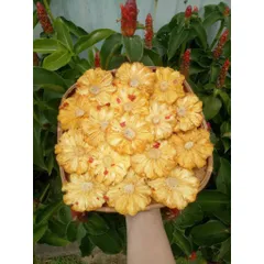 THƠM SẤY DẺO MUỐI ỚT KHÔNG ĐƯỜNG - XIMAFARM