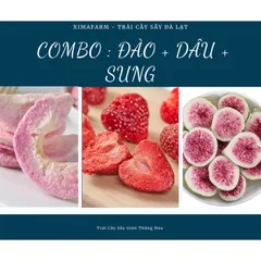 COMBO 3 Túi Trái Cây Sấy Giòn Dâu Đào Sầu Riêng Măng Cụt Kiwi Sung Thơm , Công Nghệ Sấy Thăng Hoa 881590