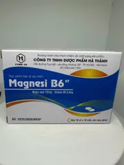 Magnesi B6 bổ sung vitamin B6 và Magnesi 100viên Magnesi B6 HT