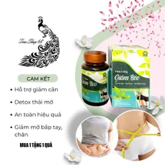 [VGB] Viên uống giảm béo đốt cháy mỡ bụng giảm béo body thanh lọc cơ thể giảm thèm ăn giảm cân an toàn hiệu quả