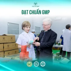 Giảm cân Nat Slim chính hãng Vicicorp (Natslim & Nat.slim x3)