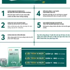 Giảm cân Nat Slim chính hãng Vicicorp (Natslim & Nat.slim x3)