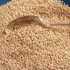 Túi 200gr vừng đen, vừng vàng thơm ngon