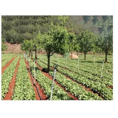 Béc phun nước có ren kèm - béc phun sương tự động xoay 360 độ