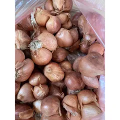 1 Kg hành khô ta thơm ngon chắc củ 882831