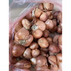 1 Kg hành khô ta thơm ngon chắc củ 882831