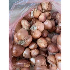 1 Kg hành khô ta thơm ngon chắc củ 882831