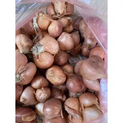 1 Kg hành khô ta thơm ngon chắc củ 882831