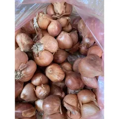 1 Kg hành khô ta thơm ngon chắc củ 882831