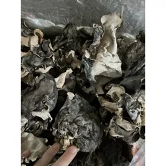 Mộc nhĩ - Nấm mèo gói 500g