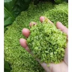 Cốm khô, cốm ngon thơm nấu xôi nấu chè làm chả cốm gói 1kg