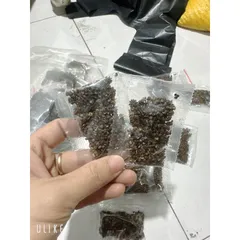 Gói 100g hạt mắc khén - Gia vị hạt mắc khén Tây bắc