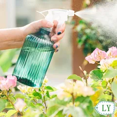 Bình xịt nước tưới cây 500ml - Bình xịt phun sương bằng nhựa