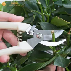 Bộ dụng cụ làm vườn 3 chi tiết tiện dụng