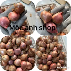 1 Hành khô - Hành cô đơn 1 nhánh, hành ta thơm ngon