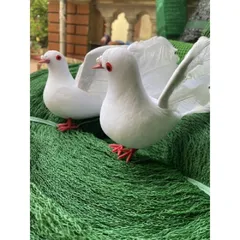 1 Chú chim bồ câu bằng xốp - Chim bồ câu nhân tạo dùng để trang trí