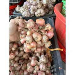 1Kg hành khô ta củ to chắc củ thơm ngon- hàng chọn lọc 884129