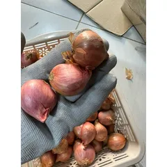 1Kg hành khô ta củ to chắc củ thơm ngon- hàng chọn lọc 884129
