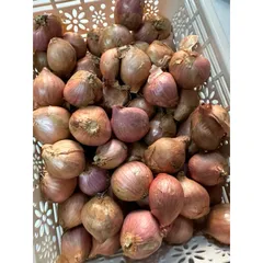 1Kg hành khô ta củ to chắc củ thơm ngon- hàng chọn lọc 884129