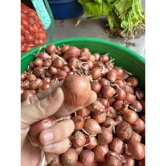 1Kg Hành khô 1 nhánh/ hành khô cô đơn thơm ngon chọn lọc