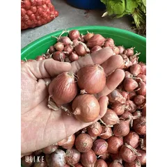 1Kg Hành khô - Hành khô 1 nhánh, hành cô đơn chọn lọc