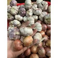 1 Kg hành tỏi củ to - Hành cô đơn, tỏi củ to chắc củ
