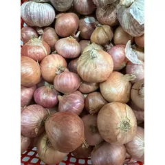 1 Kg hành tỏi củ to - Hành cô đơn, tỏi củ to chắc củ