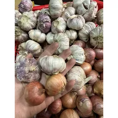 1 Kg hành tỏi củ to - Hành cô đơn, tỏi củ to chắc củ
