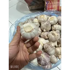 1 Kg tỏi củ to thơm ngon hàng chọn