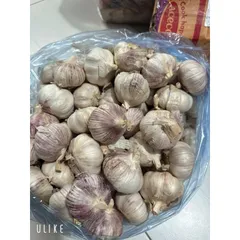 1 Kg tỏi củ to thơm ngon hàng chọn