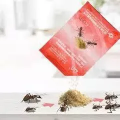 Thuốc diệt kiến dạng bột lan truyền - chuyên diệt kiến đen, kiến đỏ, kiến vàng