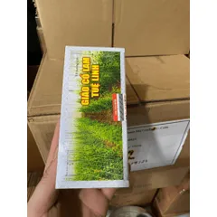 Trà giảo cổ lam tuệ linh Thanh nhiệt mát gan, giải độc, lợi tiểu, tăng cường chức năng gan, mẩn ngứa, mày đay, mụn nhọt