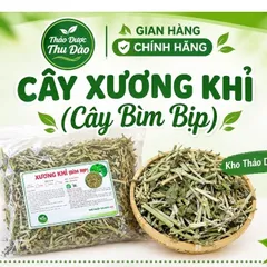 Cây bìm bịp khô (xương khỉ), ngừa trĩ, đau dạ dày, xơ gan, thận, xoang, tăng cường sức đề kháng, giảm cholesterol
