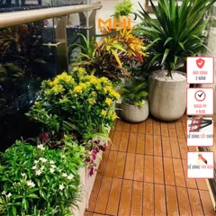 COMBO11 Tấm Nhựa Lót Sàn Cao 2cm Thoát nước tốt- Miếng nhựa giả gỗ Ban Công/Nhà Tắm/Nhà/Sân