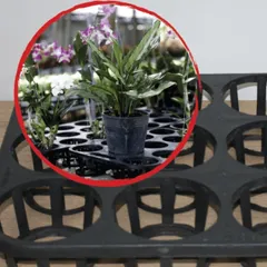 Khay ươm 12 lỗ, 15 lỗ - Chuyên dụng cho trồng Lan, Các Loại cây cảnh, hạt giống Hàng VNXK