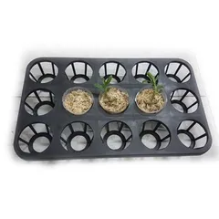 Khay ươm 12 lỗ, 15 lỗ - Chuyên dụng cho trồng Lan, Các Loại cây cảnh, hạt giống Hàng VNXK