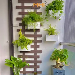 Bộ Vít bắt gỗ đen và nở- Chuyên dụng lắp giàn hoa ban công của shop