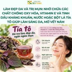Tía Tô Khô 1KG Sạch, Thơm | Lá Tía Tô Khô Hàng Mới | Trà Tía Tô Thảo Mộc Búp Xanh