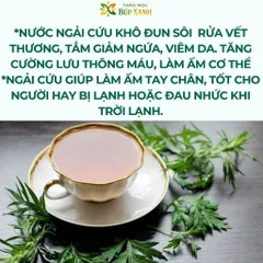 Ngải Cứu Khô 1KG Sạch, Thơm, Hàng Mới | Lá Ngải Cứu Khô | Làm Trà, Nấu Nước Thảo Mộc Búp Xanh
