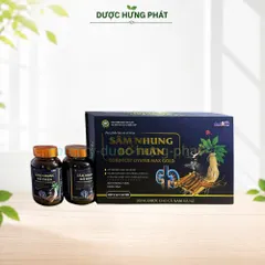 Viên uống Sâm Nhung Bổ Thận Cordycep Oyster Max Gold giúp bổ huyết, tăng lực, bổ thận, dưỡng thận hộp 60 viên