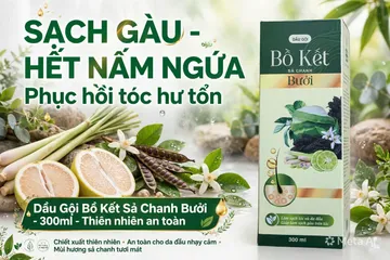 Dầu gội thảo dược Bồ kết hoa bưởi chanh xả Hương nhu cỏ mần trầu Chai 300ml Hàng chính hãng