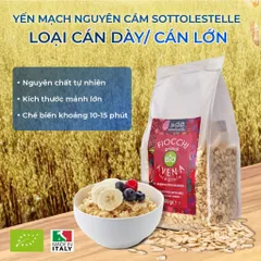Yến mạch hữu cơ cán vỡ SOTTOLESTELLE Ý 500g