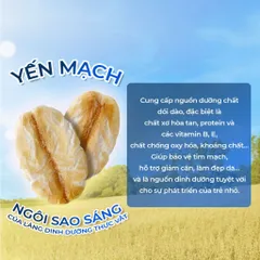 Yến mạch hữu cơ cán vỡ SOTTOLESTELLE Ý 500g