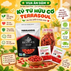 KỶ TỬ HỮU CƠ TERRASOUL / GREEN NATURE phù hợp cho bé và cả nhà