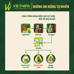 Nước Màu Dừa Hữu Cơ VIETNIPA –Từ Mật Dừa Nước, Tạo Màu Món Ăn, Dùng Cho Bé Ăn Dặm Từ 1 Tuổi (Date 2028)