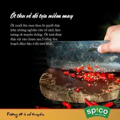 Tương Ớt Truyền Thống SPICO Chai 290gr Tương Ớt Không Chất Bảo Quản Không Hương Liệu Nhân Tạo Không Bột Ngọt