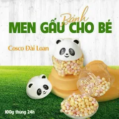 Bánh men bi GẤU TRÚC COSCO hộp 100G