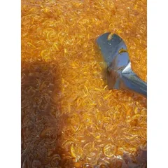 Chanh Muối Sợi Nhuyễn 1kg – Nhà Làm, Thơm Ngon, Dễ Pha | Cát Tiên Shop