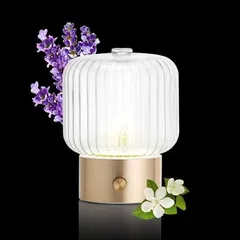 Máy Xông Khuếch Tán Tinh Dầu Puressentiel VERA Pháp Không Nước, Phòng Đến 120m², Tự Ngắt 1H