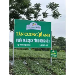 Trà Sen Ngọc Tỉnh Liên  Hộp Long Phượng,Đại Việt , Hứng Dừa , Tứ Long Trà Sạch Tân Cương Xanh